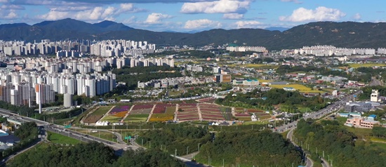 2024년 행사 스케치
