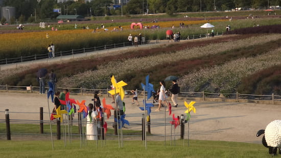 2026년 행사 스케치